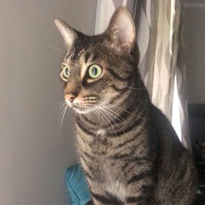 Meet your Posher, Alyssa